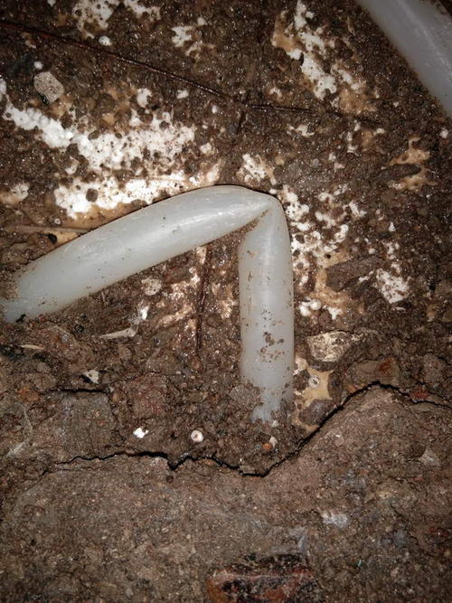 博湖堵点精准查找